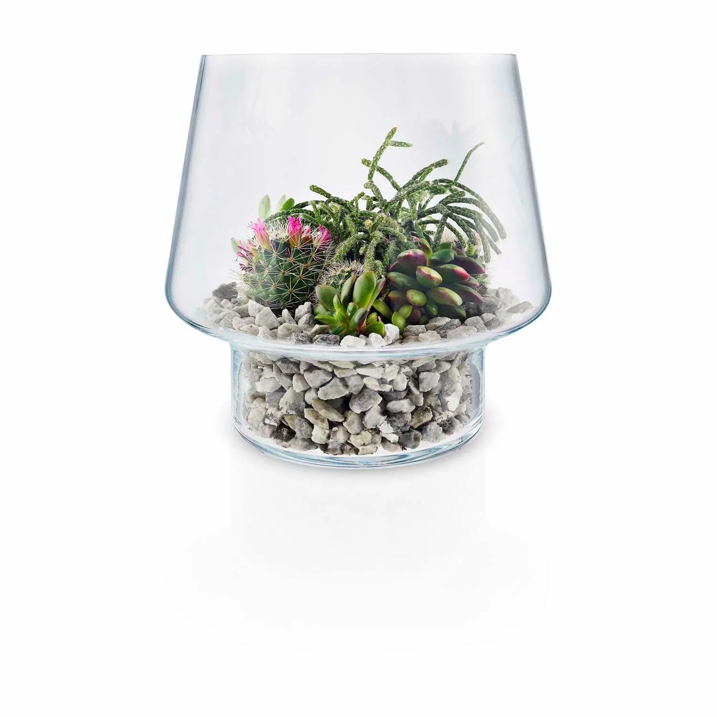 Succulent Glass Vase - 21cm
