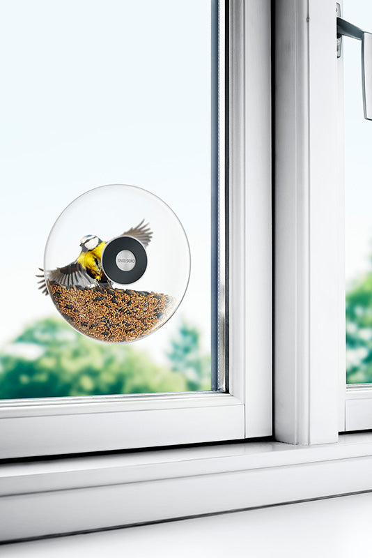 Window Bird Feeder Large - Eva Solo