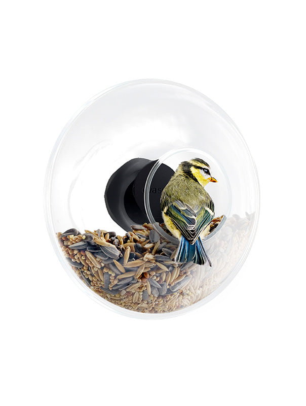 Window Bird Feeder - Eva Solo