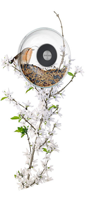Window Bird Feeder - Eva Solo