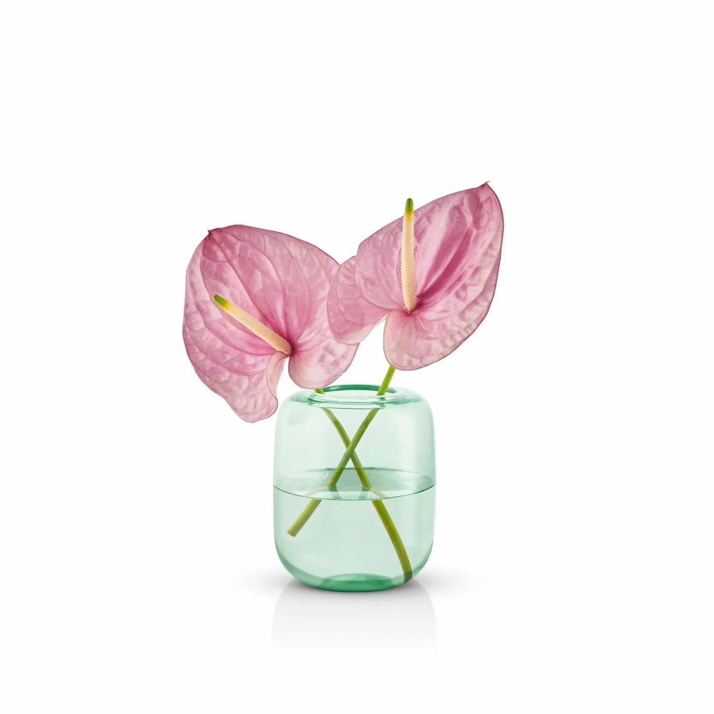 Acorn Vase H16.5 Mint Green - Eva Solo