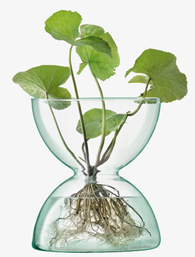 Canopy Vase H24cm Clear