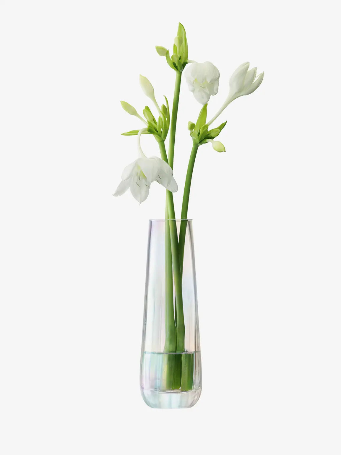 Pearl Vase H20cm Mother of Pearl