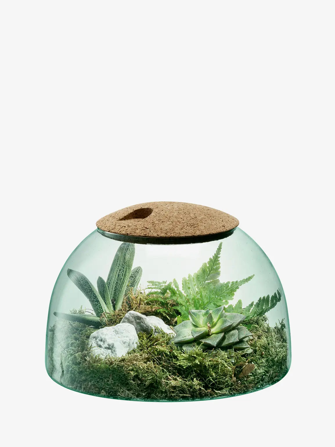 Canopy Closed Garden H16.5cm Recycled/Cork