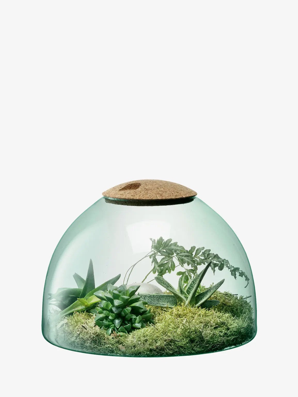 Canopy Closed Garden H22cm Recycled/Cork