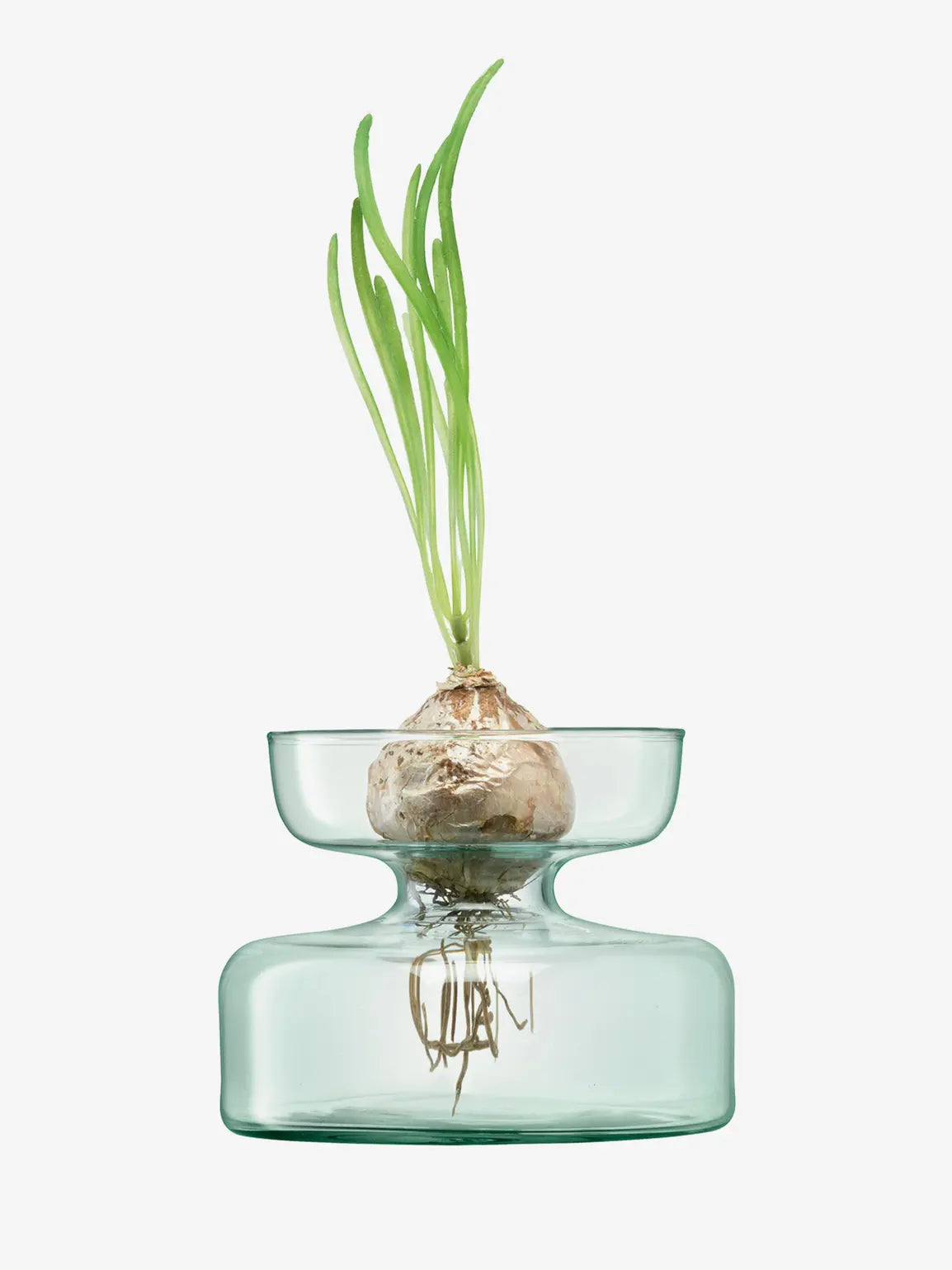Canopy Vase/Bulb Planter H10cm Clear