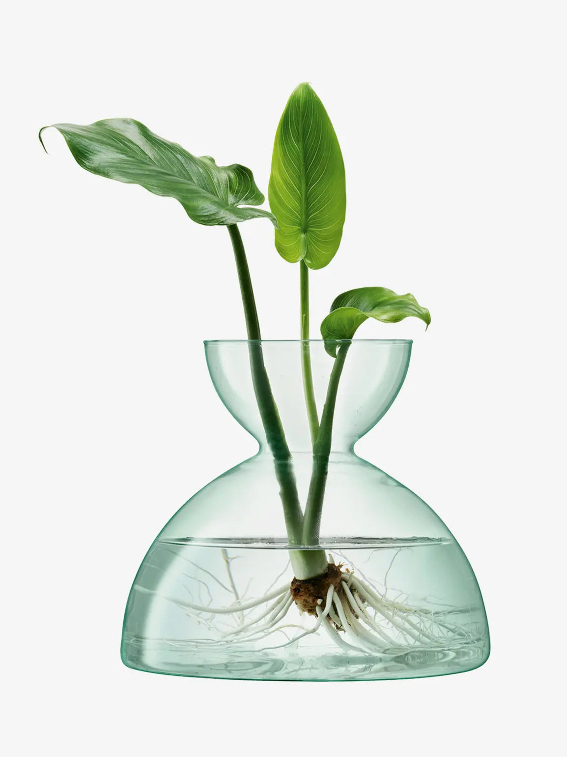 Canopy Vase H18cm Clear