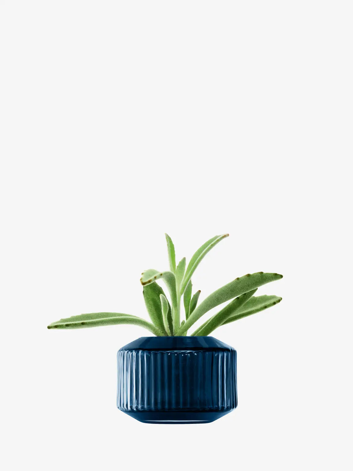 Rotunda Tealight Holder - Sapphire