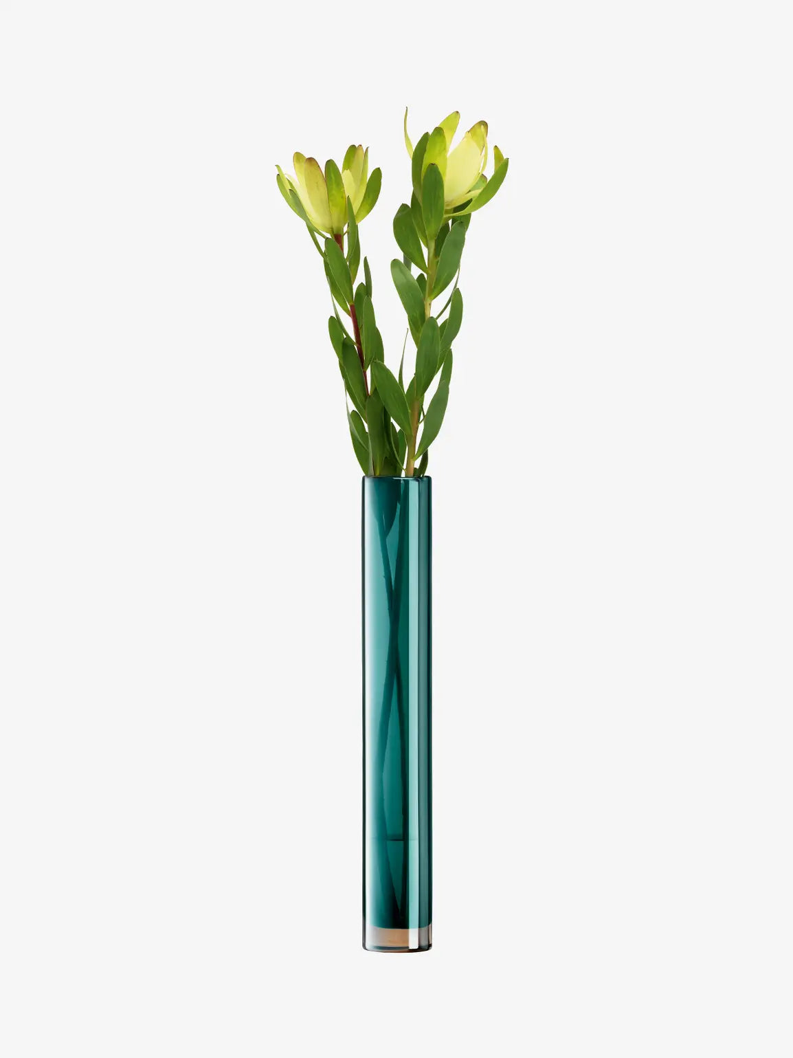 Epoque Vase H48cm Peacock/Lustre