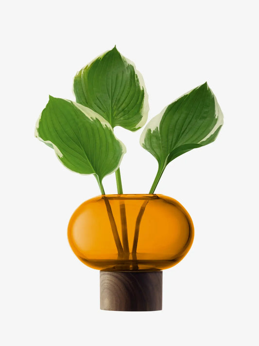 Oblate Vase H13.5cm/?15cm Amber/Walnut