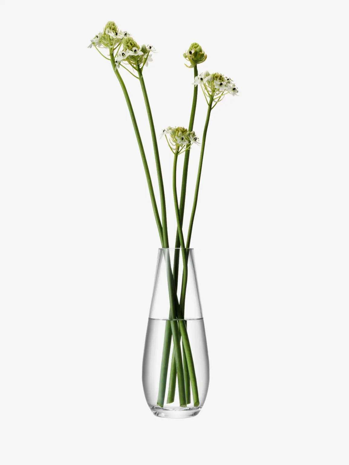 Flower Tall Stem Vase H29cm Clear