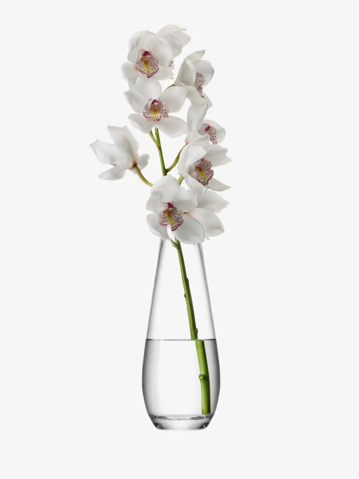 Flower Tall Stem Vase H29cm Clear