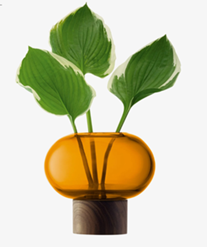 Oblate Vase H13.5cm/?15cm Amber/Walnut