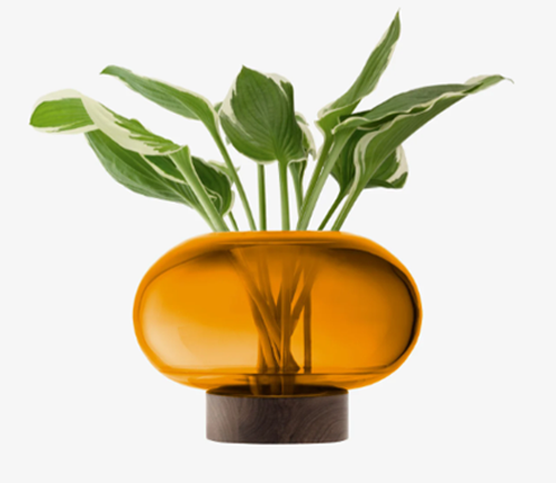 Oblate Vase/Lantern H19.5cm/?28cm Amber/Walnut