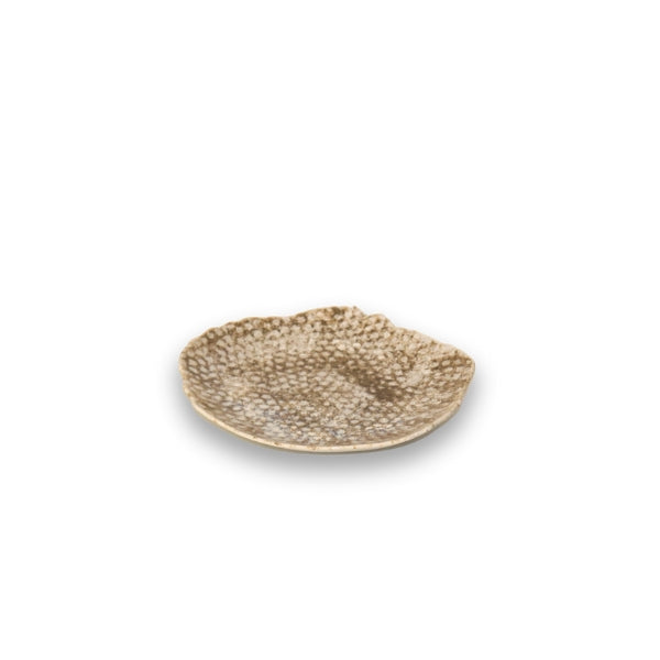 Dinner Plate 29x28cm - Coral Color