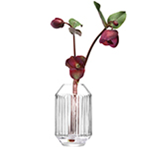 Rotunda Vase H15cm Clear