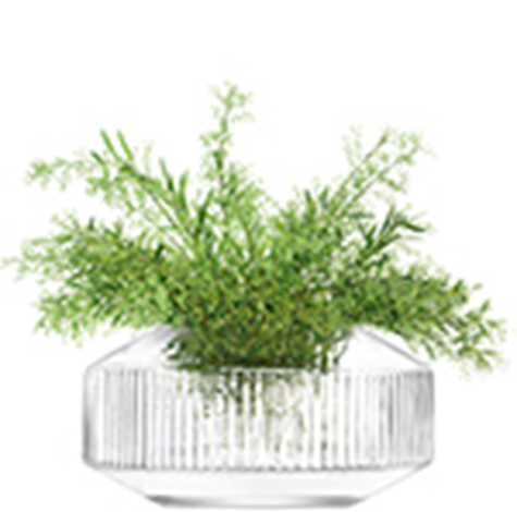 Rotunda Wide Vase H14cm Clear
