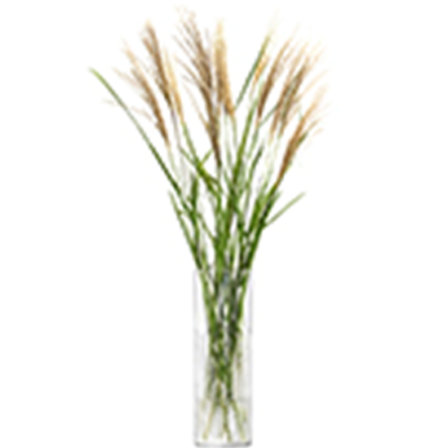Wicker Vase H40cm Clear