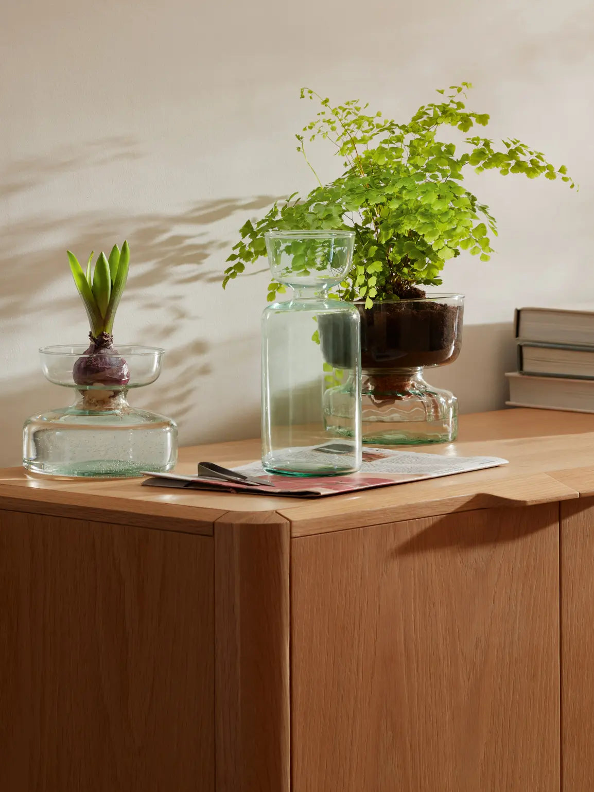 Canopy Vase/Bulb Planter H20cm Clear