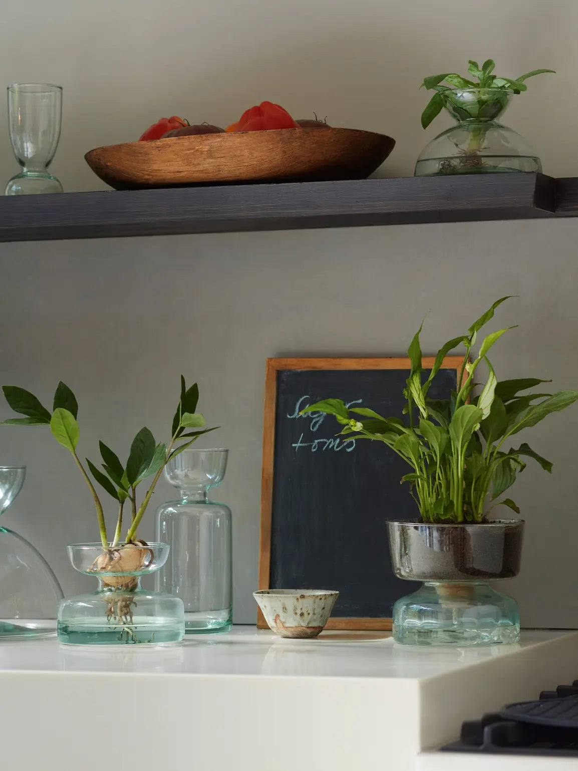 Canopy Vase/Bulb Planter H20cm Clear