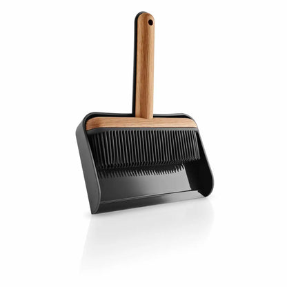 Dustpan and brush set