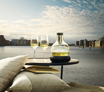 Decanter Carafe with Cool - Eva Solo