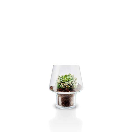 Succulent Glass Vase - 15cm