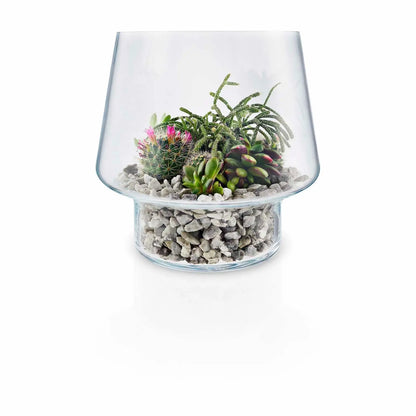 Succulent Glass Vase - 21cm