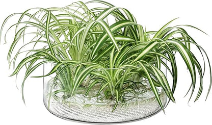 Market Bowl H11.5cm Clear