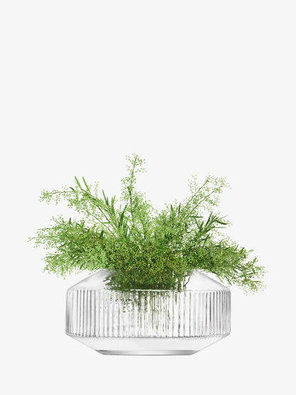 Rotunda Wide Vase H14cm Clear
