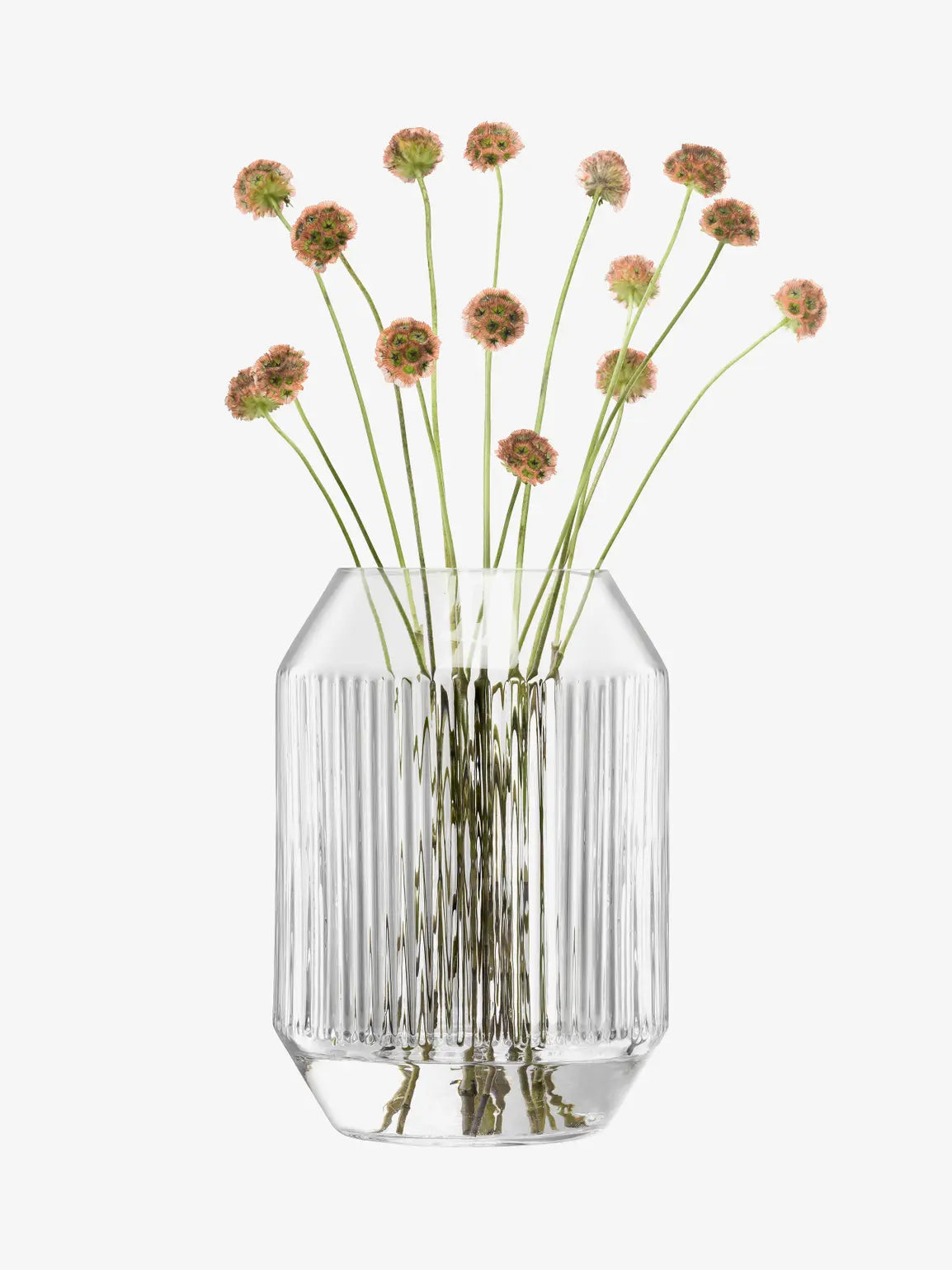 Rotunda Lantern/Vase H26cm Clear