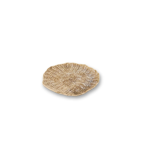 Show Plate 32cm - Coral Color