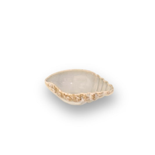 Bowl 17x11cm/ Ht. 6cm/ Cont. 250cl - Coral Color